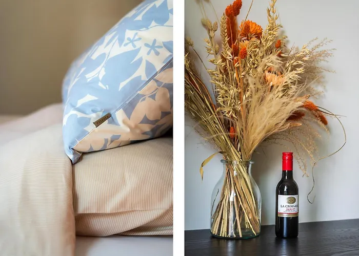 Gastsuite Het Duinroosje Met Hottub Op Het Prive Terras! Den Burg